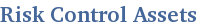 Risk Control Assets